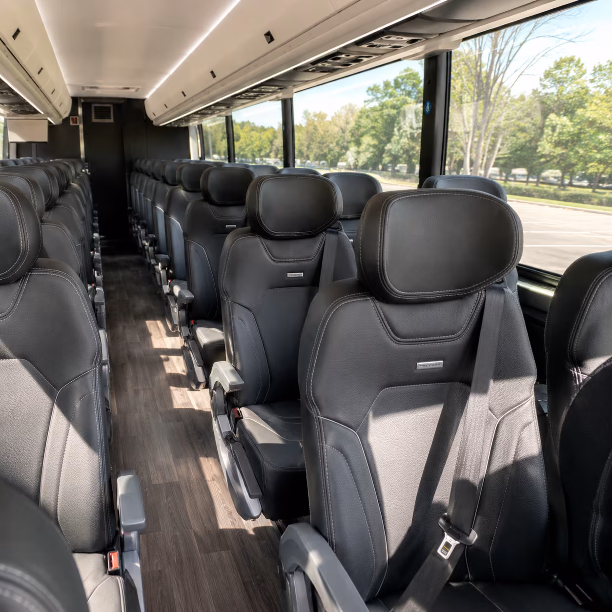 charter buses for savannah milestone birthday venue runs