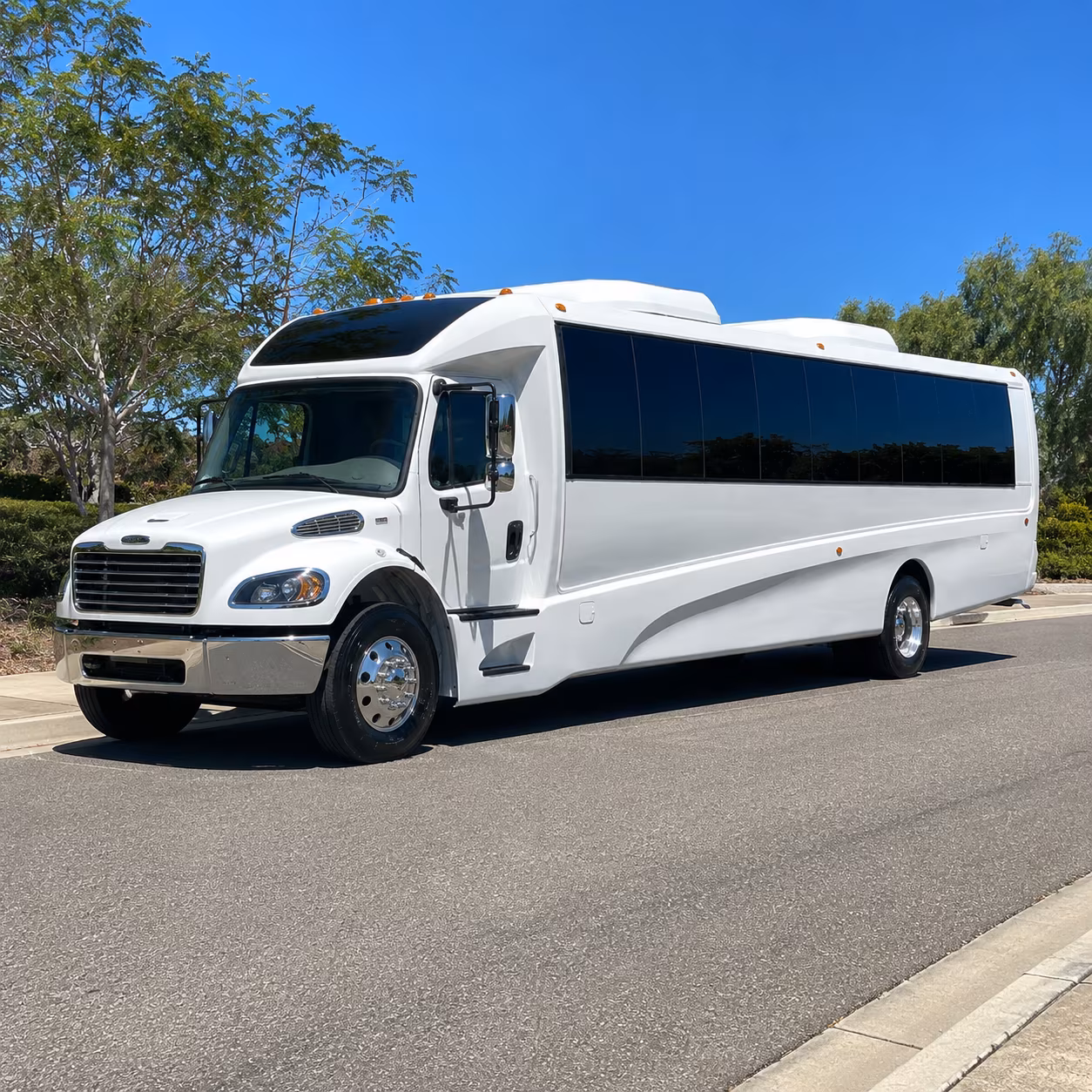 savannah 20 passenger minibus