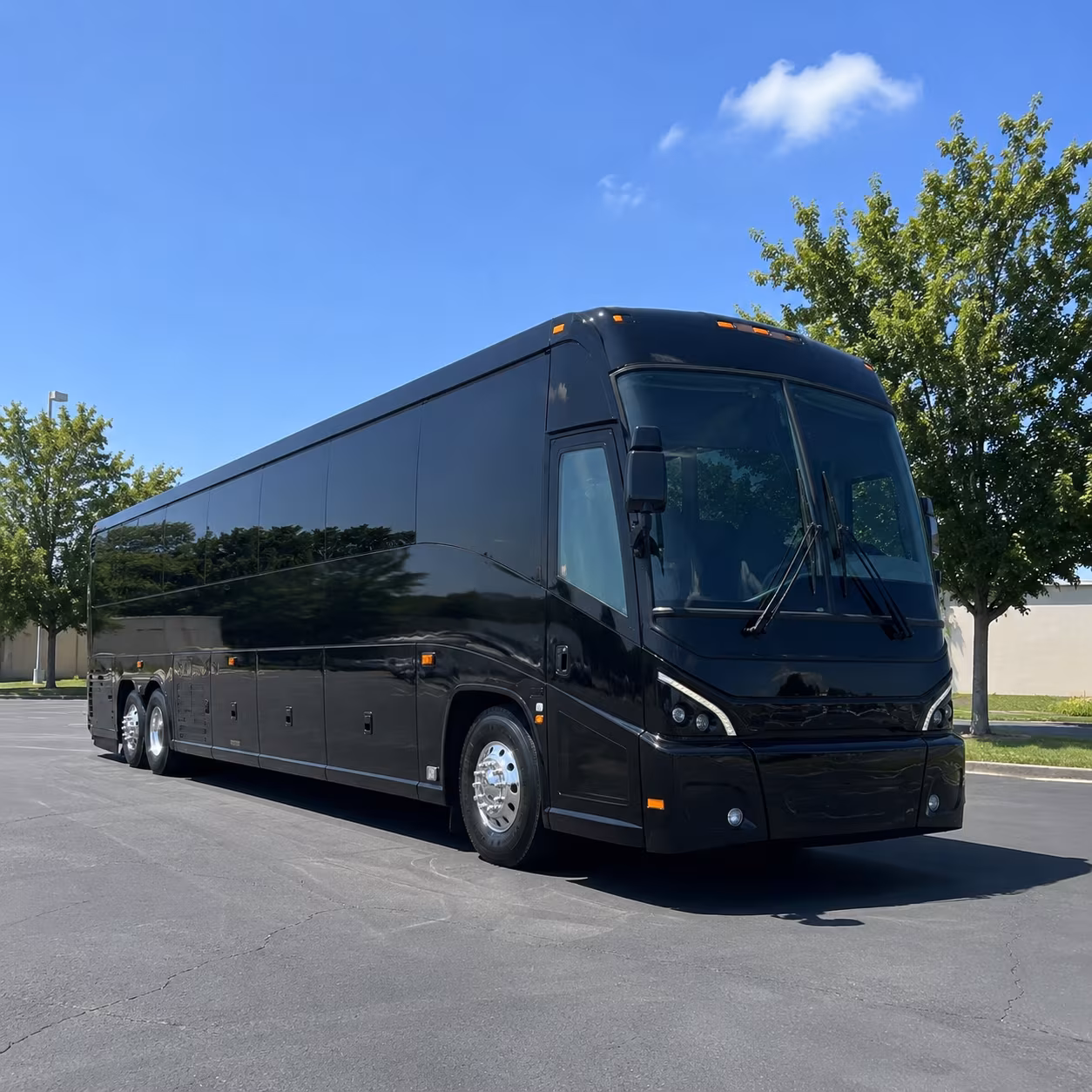 savannah 56 passenger charter bus