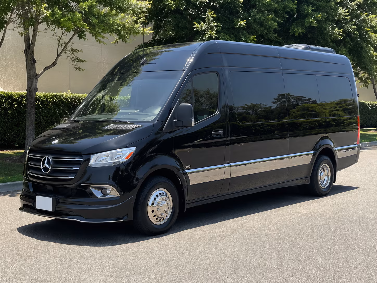 savannah sprinter van with driver