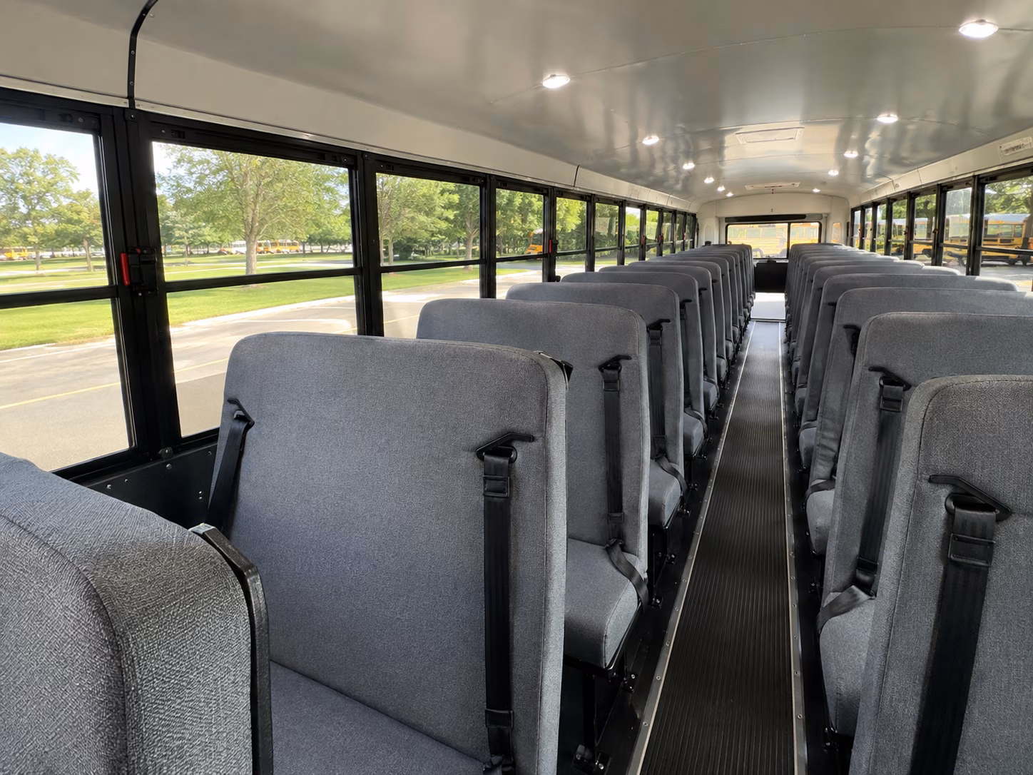 school buses for nature and wildlife field trips around savannah